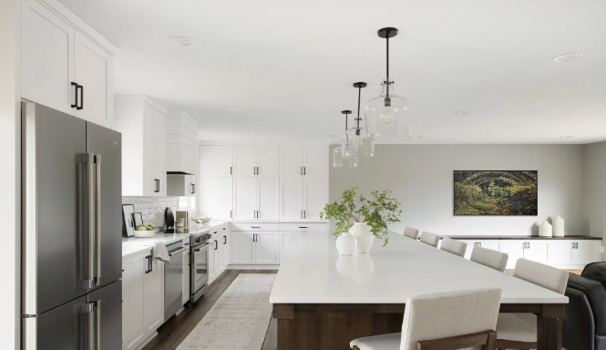 Professional Kitchen Renovation Services in Edina, MN